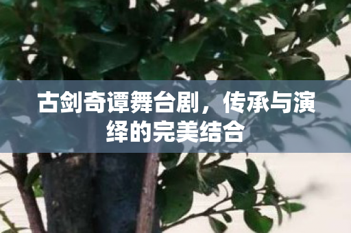 传承与演绎的完美结合图片