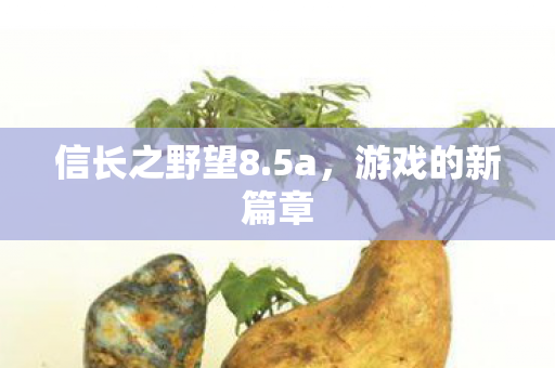 信长之野望8图片