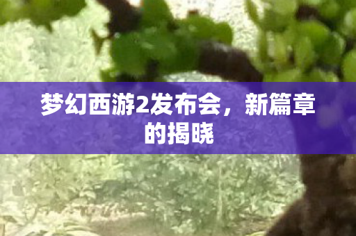 梦幻西游2发布会图片