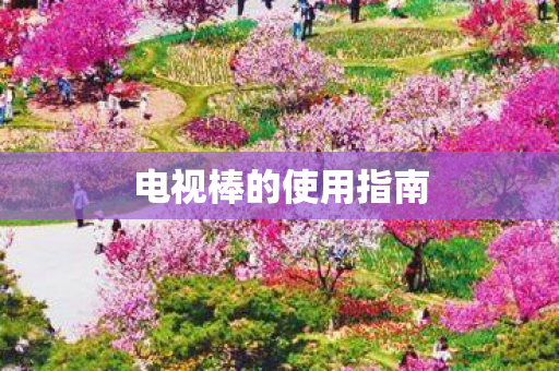 电视棒的使用指南图片