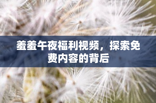 探索免费内容的背后图片