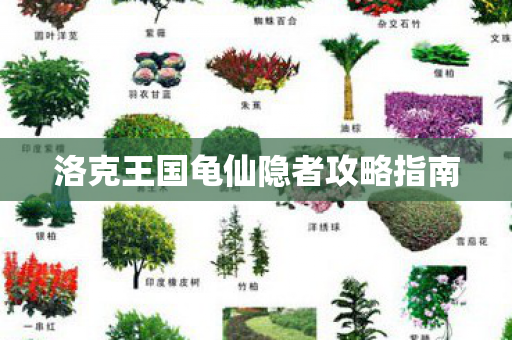 洛克王国龟仙隐者攻略指南图片