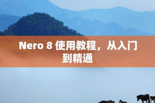 Nero 8 使用教程图片
