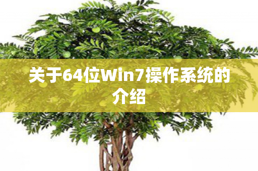 关于64位Win7操作系统的介绍图片