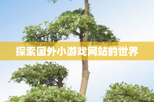 探索国外小游戏网站的世界图片
