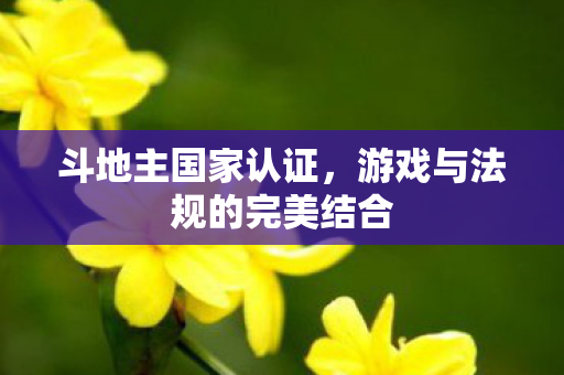 游戏与法规的完美结合图片