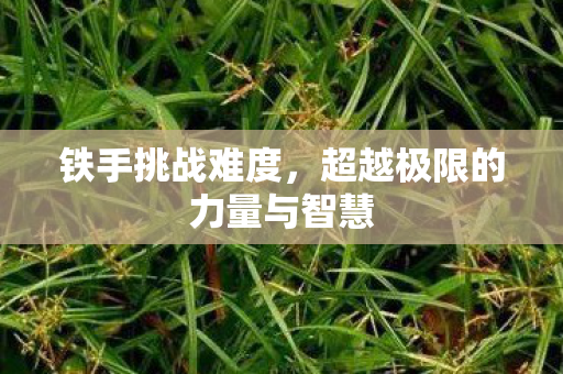 超越极限的力量与智慧图片
