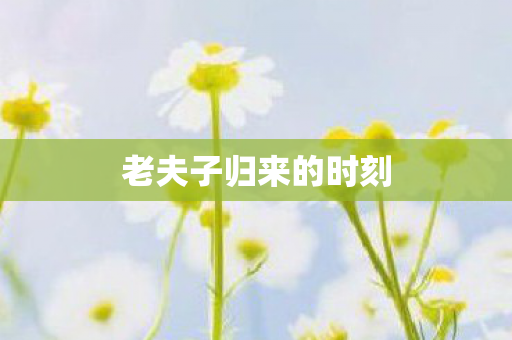 老夫子归来的时刻图片