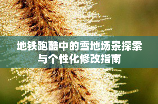 地铁跑酷中的雪地场景探索与个性化修改指南图片