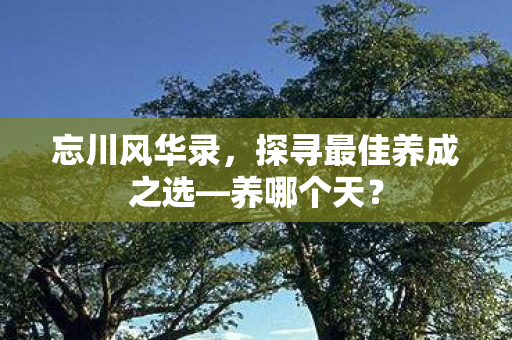 探寻最佳养成之选图片