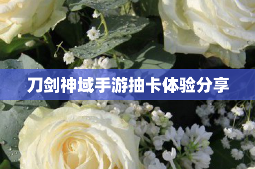 刀剑神域手游抽卡体验分享图片