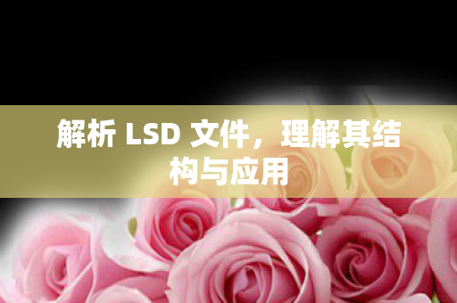 解析 LSD 文件图片