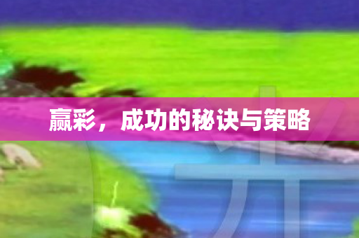 成功的秘诀与策略图片