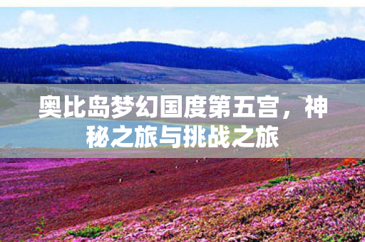 奥比岛梦幻国度第五宫图片