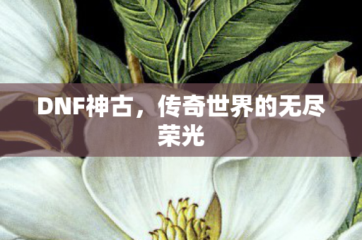 传奇世界的无尽荣光图片