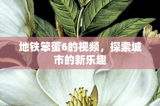 地铁笨蛋6的视频图片