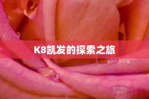 K8凯发的探索之旅图片