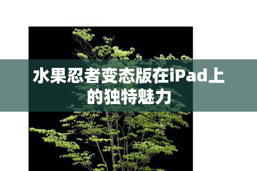 水果忍者变态版在iPad上的独特魅力图片