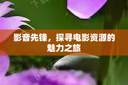 探寻电影资源的魅力之旅图片