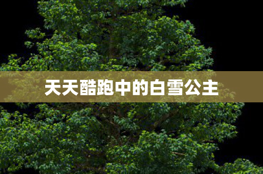 天天酷跑中的白雪公主图片