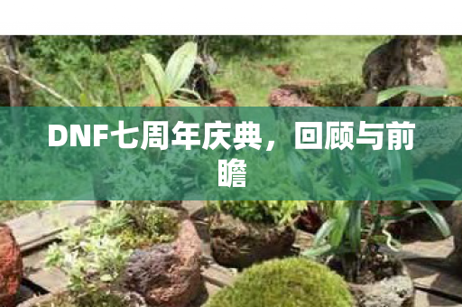 DNF七周年庆典图片
