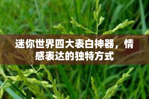 迷你世界四大表白神器图片