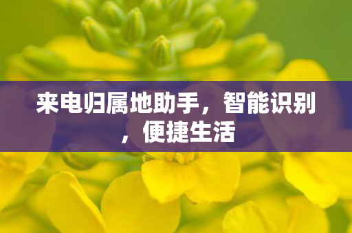 来电归属地助手图片