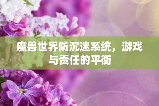 魔兽世界防沉迷系统图片