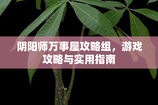 阴阳师万事屋攻略组图片