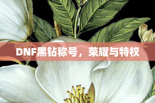 DNF黑钻称号图片