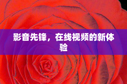 在线视频的新体验图片