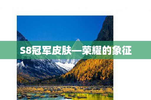 S8冠军皮肤图片