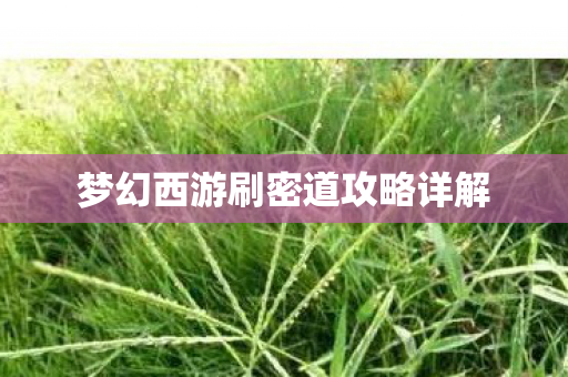 梦幻西游刷密道攻略详解图片