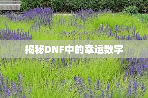 揭秘DNF中的幸运数字图片