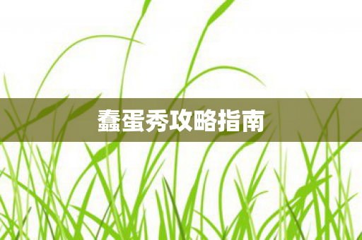 蠢蛋秀攻略指南图片