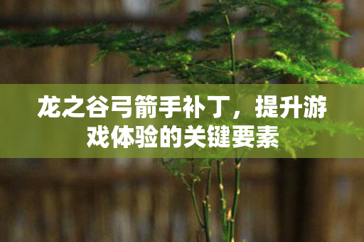 提升游戏体验的关键要素图片