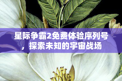 星际争霸2免费体验序列号图片