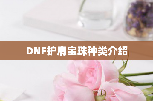 DNF护肩宝珠种类介绍图片
