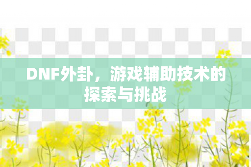 游戏辅助技术的探索与挑战图片
