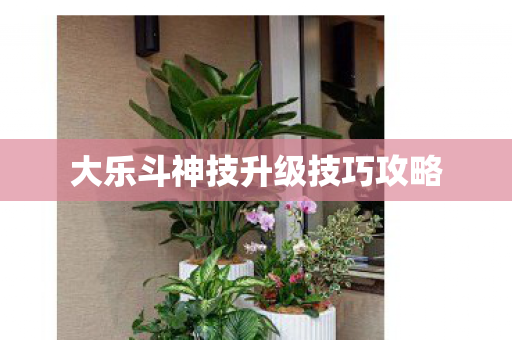 大乐斗神技升级技巧攻略图片