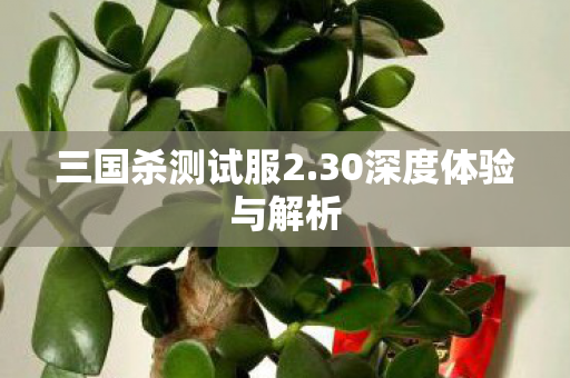 30深度体验与解析图片