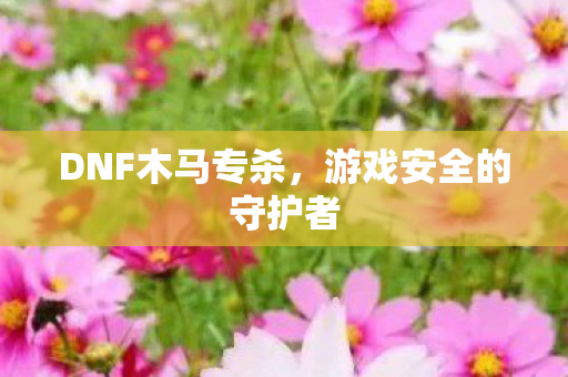 游戏安全的守护者图片