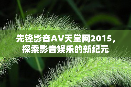 先锋影音AV天堂网2015图片