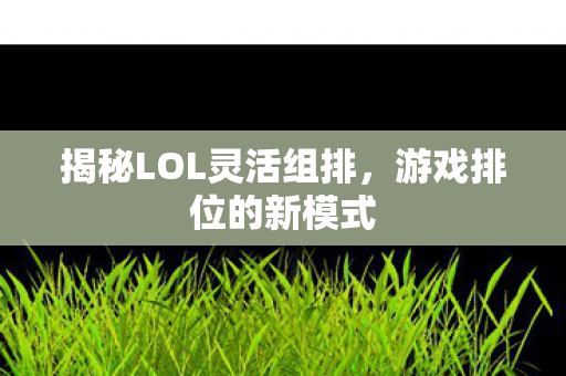 揭秘LOL灵活组排图片