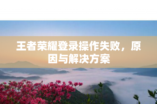 王者荣耀登录操作失败图片