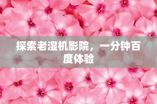 探索老湿机影院图片