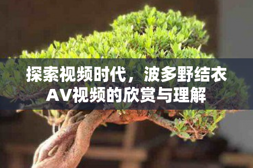 波多野结衣AV视频的欣赏与理解图片