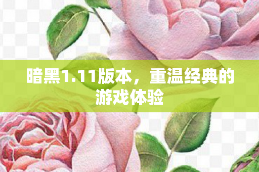 重温经典的游戏体验图片