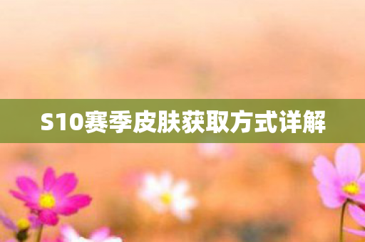 S10赛季皮肤获取方式详解图片