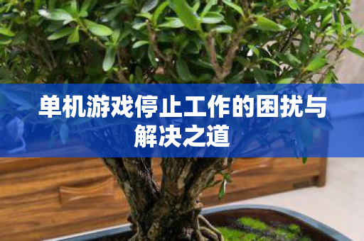单机游戏停止工作的困扰与解决之道图片